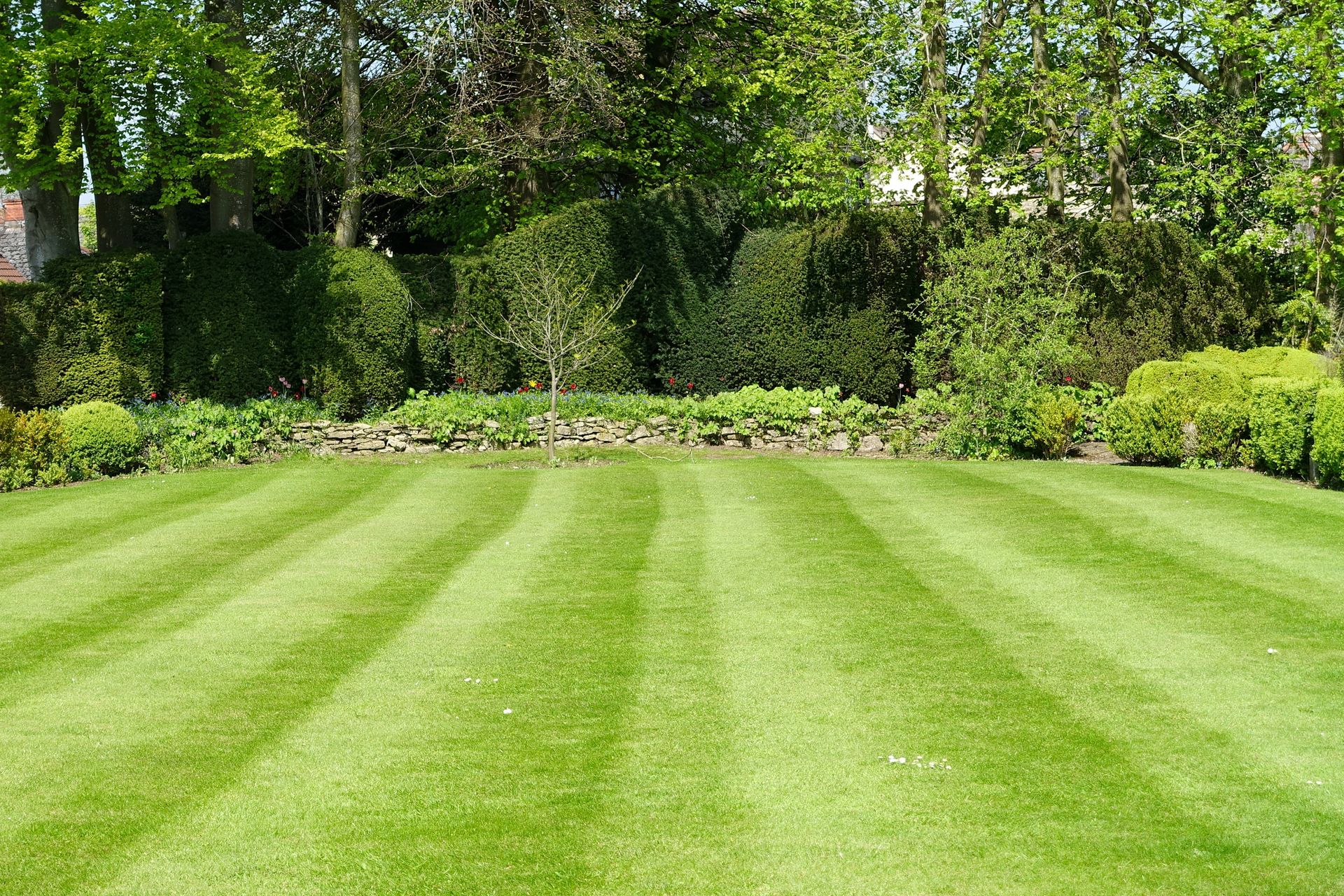 Sprinkler Systems for Lawn Care in Salt Lake County Utah