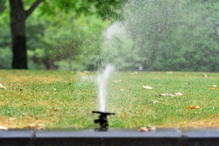 Sprinkler Tuning Fall Sprinkler Tune-Up: Ensuring Efficiency Before the Chill ...