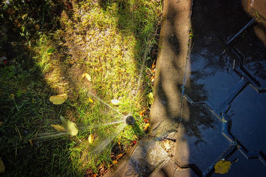 Mid-Season Sprinkler Problems That Can Raise Your Water Bill Fast